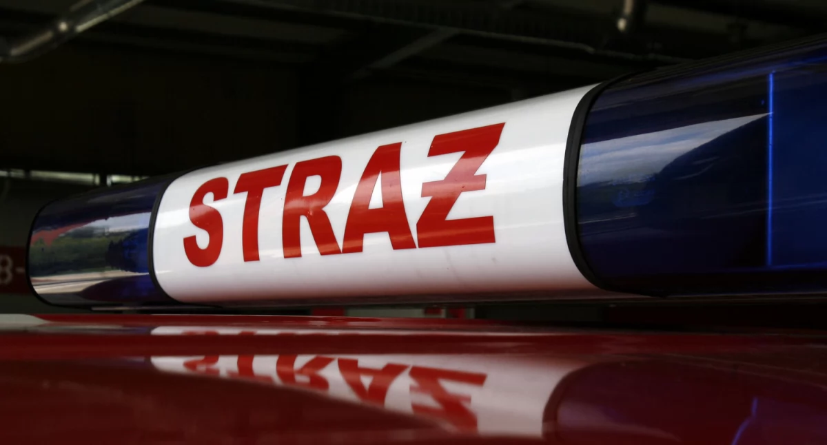 Interwencje straży pożarnej w Zabostowie Dużym i Michałówku