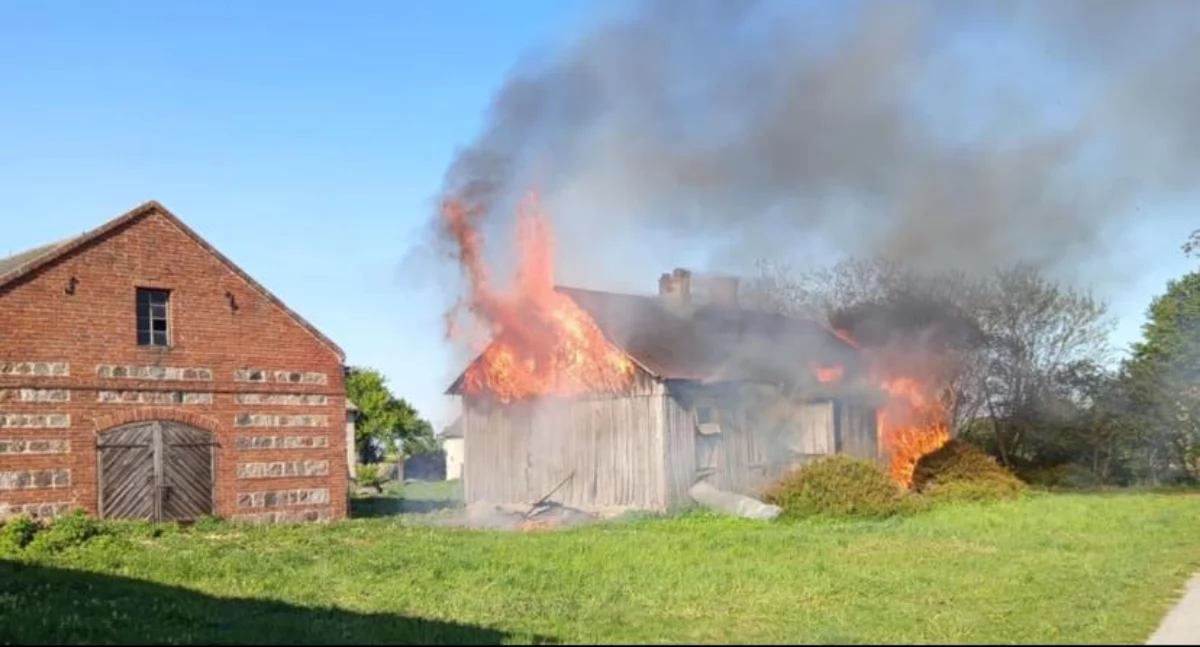 Pożar pod Kiernozią. Z ogniem walczyło kilka zastępów straży pożarnej (foto)