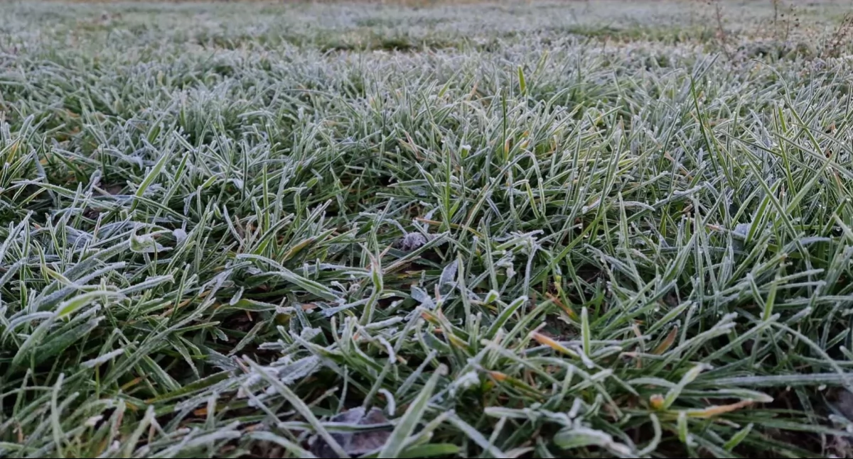 IMGW ostrzega przed przymrozkami w województwie łódzkim – obowiązuje alert I stopnia