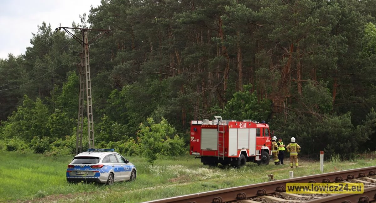 Gmina Domaniewice. Pieszy zginął pod kołami pociągu! (foto)