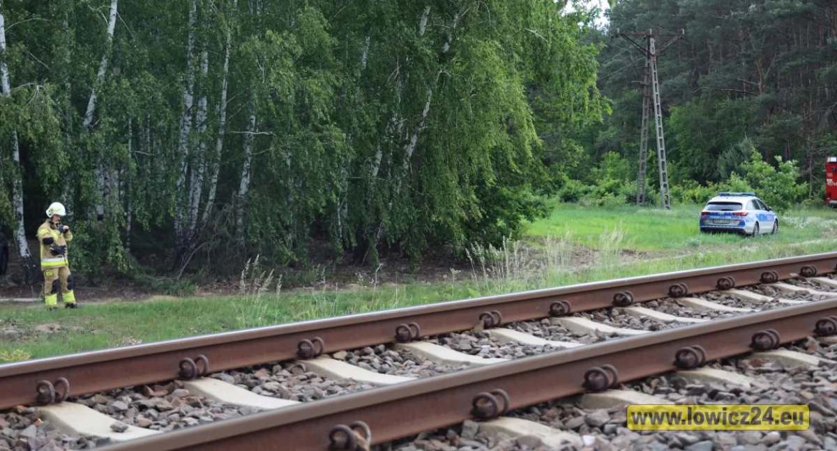 Tragiczny wypadek kolejowy w gminie Domaniewice. Są kolejne ustalenia