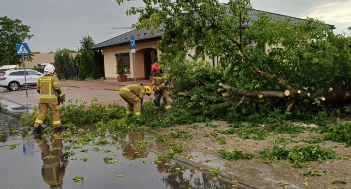 Pracowite popołudnie strażaków – siedem interwencji po silnym wietrze w regionie