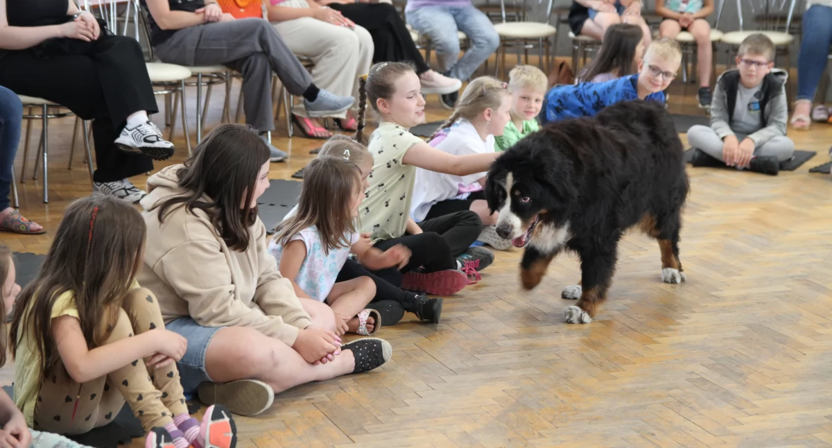 Spotkanie z czworonogami w Bocheniu. Wartościowe warsztaty dla dzieci i młodzieży (foto)