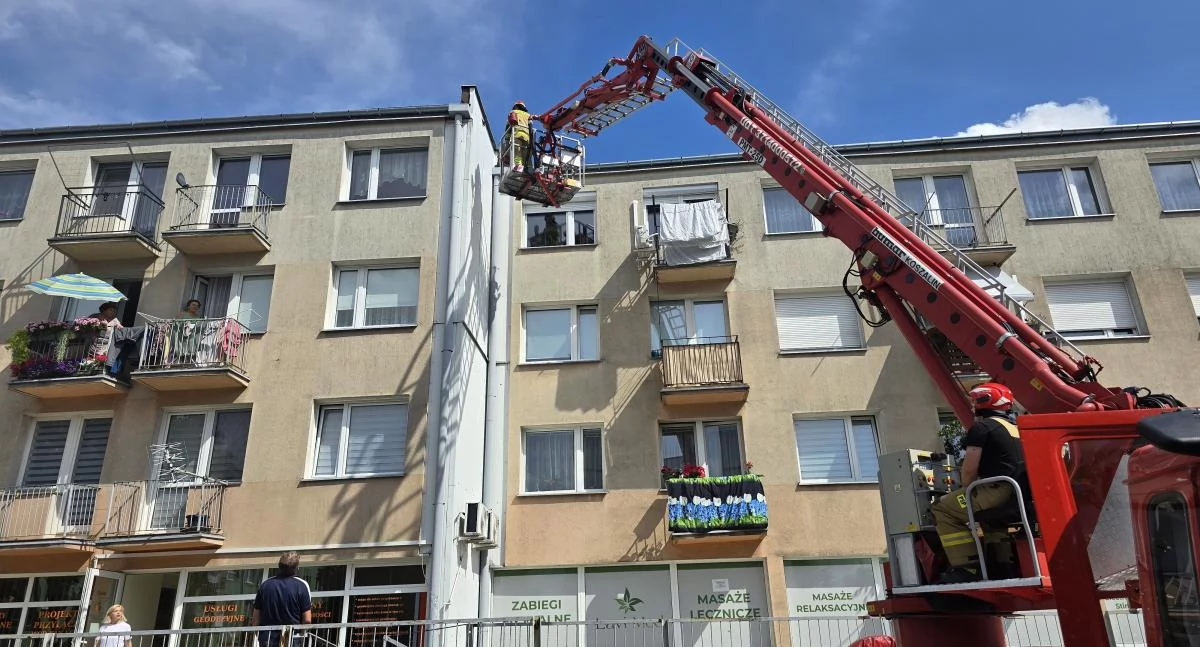 Strażacy ruszyli na ratunek ptakowi. Niestety, nie udało się go uratować (foto)