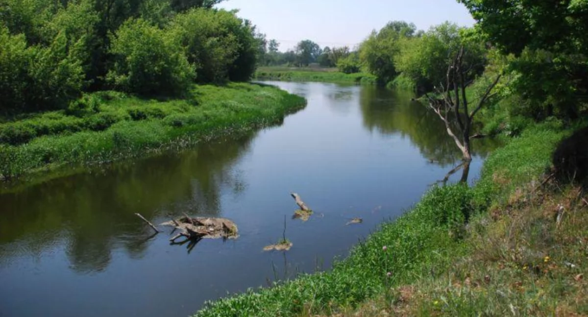 Makabryczne znalezisko w Bzurze. Z rzeki wyłowiono worki ze szczątkami zwierząt!
