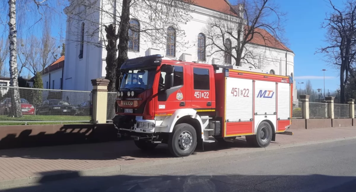 Szerszenie na terenie szkoły w Łowiczu. Interweniowała straż pożarna