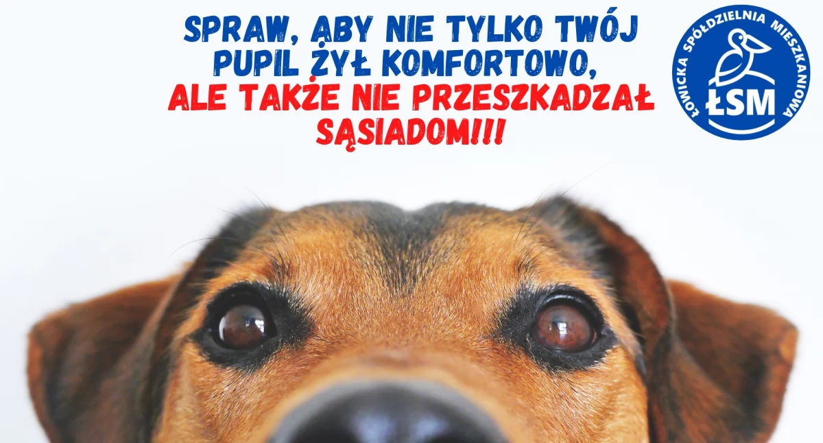 ŁSM apeluje do mieszkańców. Dbajmy o naszych pupili i szanujmy sąsiadów!