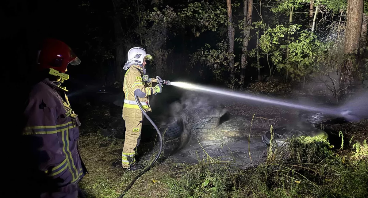 Niebezpieczny ogień tuż przy lesie. Strażacy ugasili pożar opon
