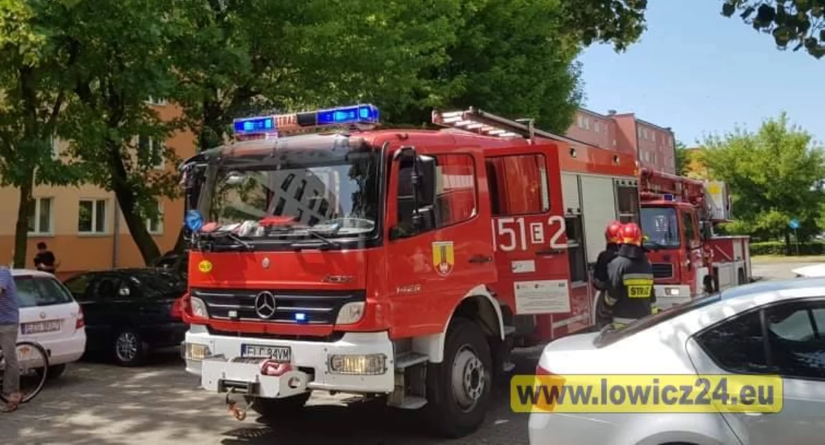 Owady błonkoskrzydłe atakują! Strażacy usuwają gniazda niemal codziennie