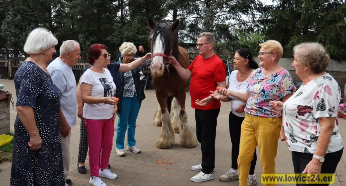 Oni kochają konie! Seniorzy podsumowali projekt w KARINO (foto, film)