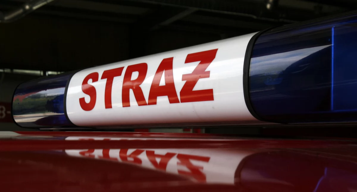Weekendowe interwencje straży pożarnej. Pożary, fałszywy alarm, powalone drzewo i pomoc poszkodowanej kobiecie