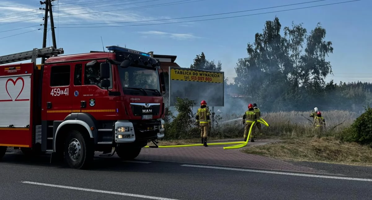 Pożar trawy w Łowiczu (foto)