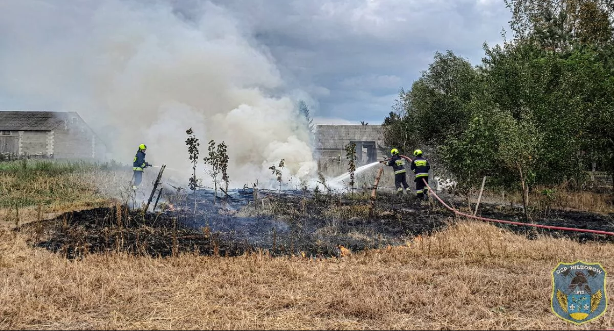 Nieborów. Strażacy gasili pożar trawy