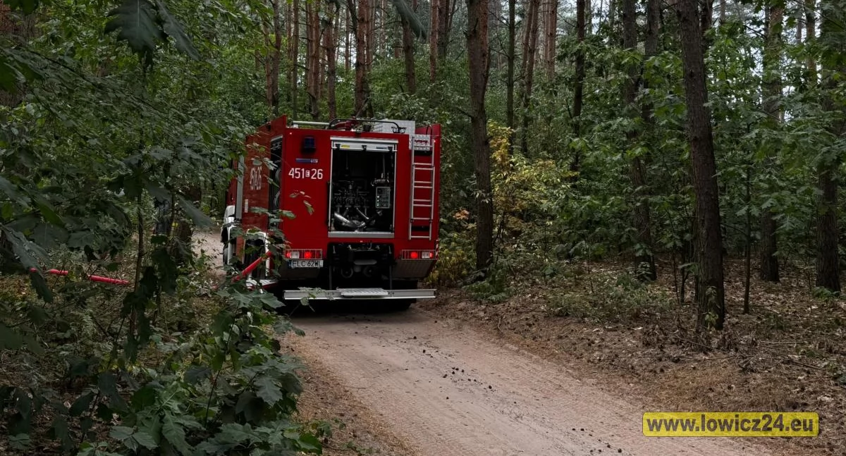 Seria pożarów pod Łowiczem. Czy to sprawka podpalacza?