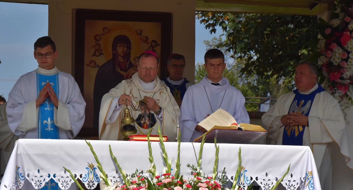 Uroczystości odpustowo-dożynkowe w Domaniewicach z jubileuszowym akcentem (foto,film)