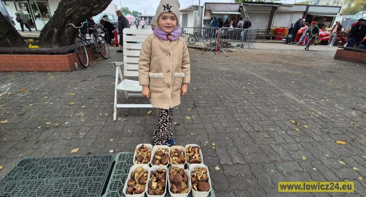 Jesień w Łowiczu bez grzybów? Na targowisku tylko kilku sprzedawców (foto)