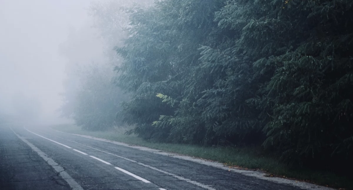 Uwaga kierowcy! Gęsta mgła może utrudniać jazdę w nocy i rano