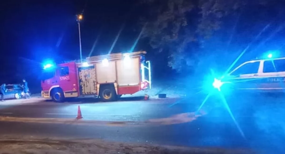 Interwencja służb w gminie Łyszkowice. Osobówka najechała na konar drzewa!