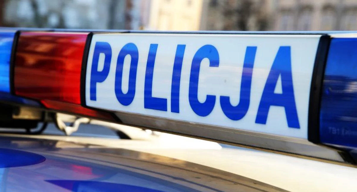 Nieborów. Kierowca citroena nie trzymał się toru jazdy, był nietrzeźwy