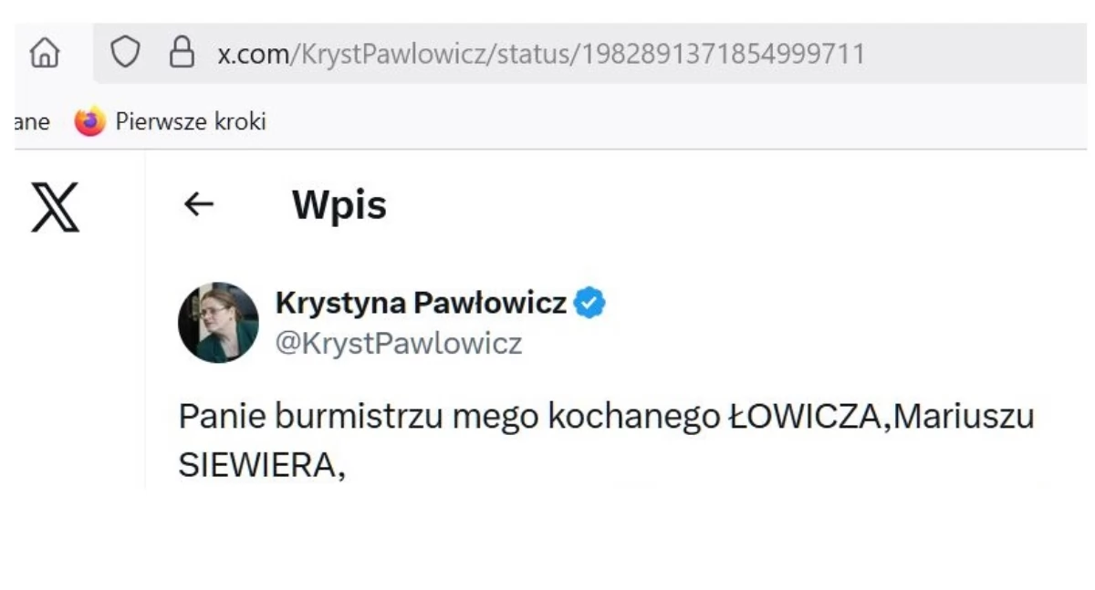 Krystyna Pawłowicz opublikowała na portalu X zdjęcie z Łowicza. Ma prośbę do burmistrza