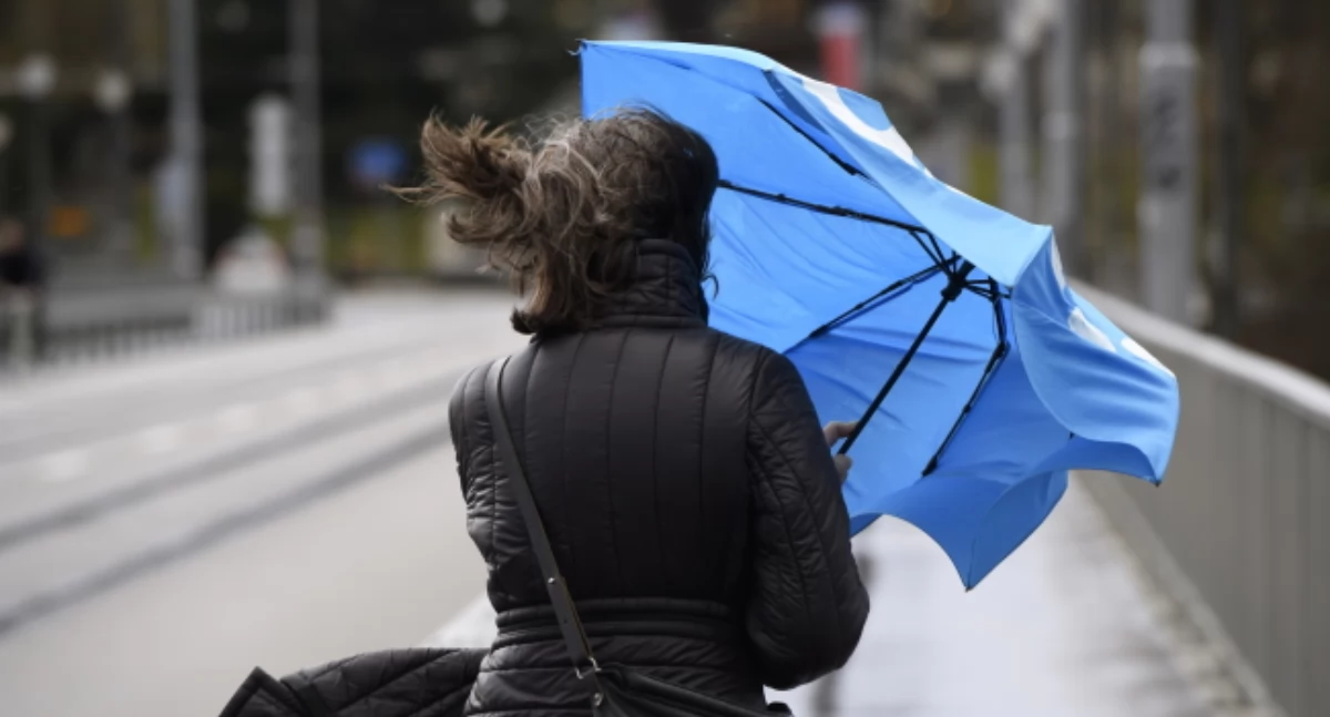 Czwartek pod znakiem silnego wiatru. Alert IMGW również dla powiatu łowickiego