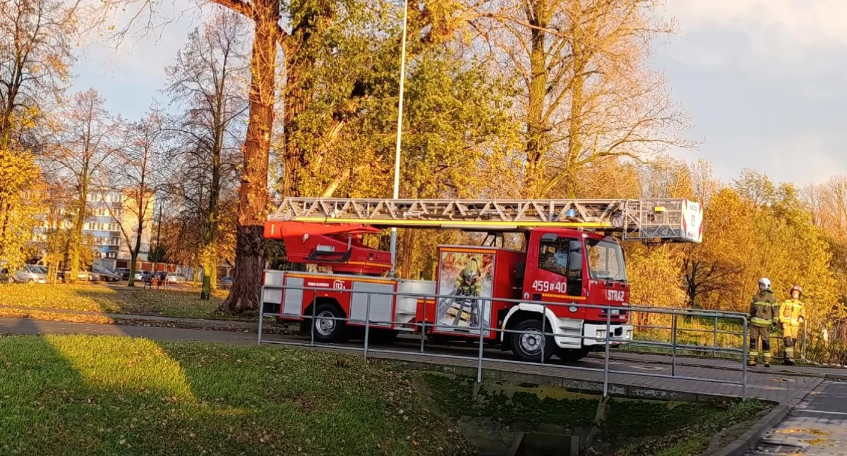 Drzewa na drogach i konary nad budynkami! Strażacy mieli pełne ręce pracy