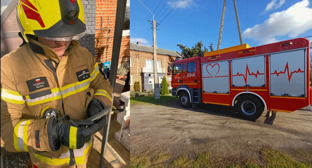 Strażacy w akcji… z wężem! Zielono-żółty gad w prążki, wygrzewał się w jesiennym słońcu!