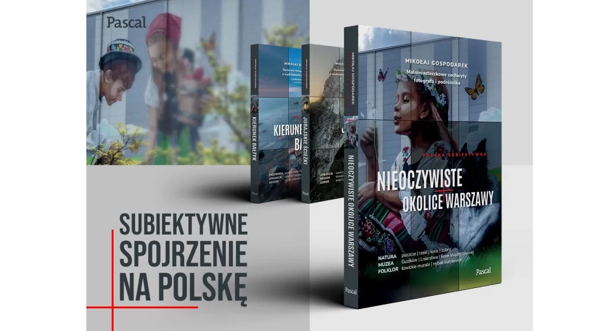 Mural z Łowicza trafił na okładkę książki. To przewodnik po nieoczywistych okolicach Warszawy (foto)