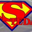 Stedar