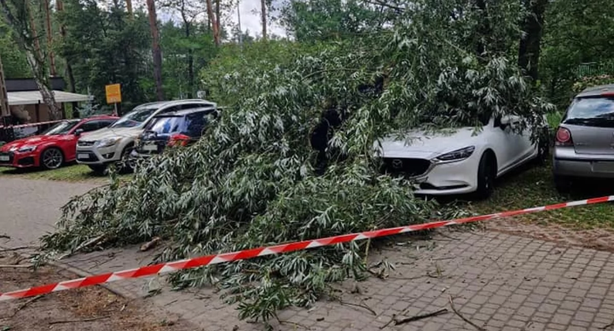 Foto: OSP Nieborów