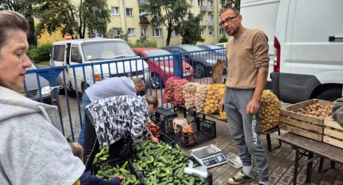 Wasze sprawy, Łowicz Sezon ogórki dobiega końca drogo było dawno - zdjęcie, fotografia