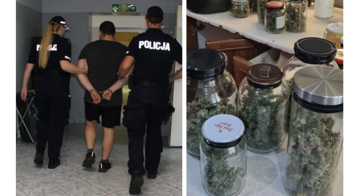 Komunikaty policji , Duża akcja łowickich policjantów! Uderzyli przestępczość narkotykową! (foto film) - zdjęcie, fotografia