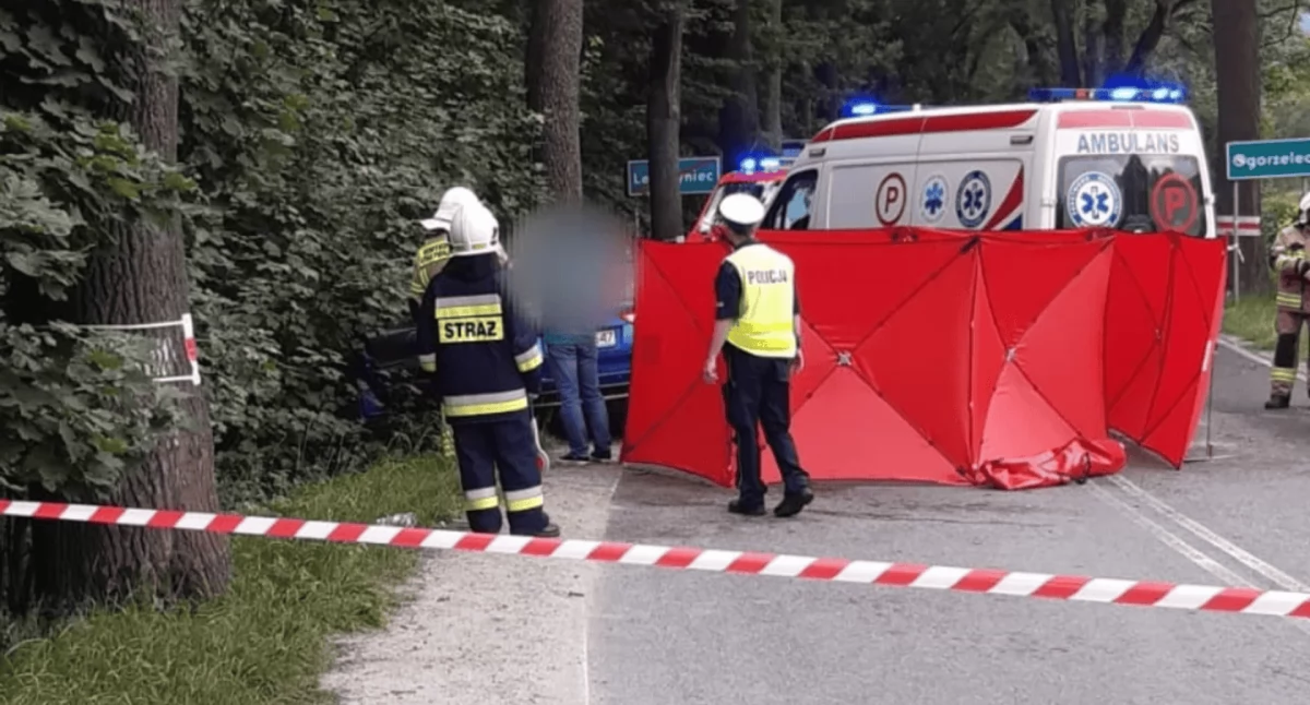 Foto: Materiały policyjne