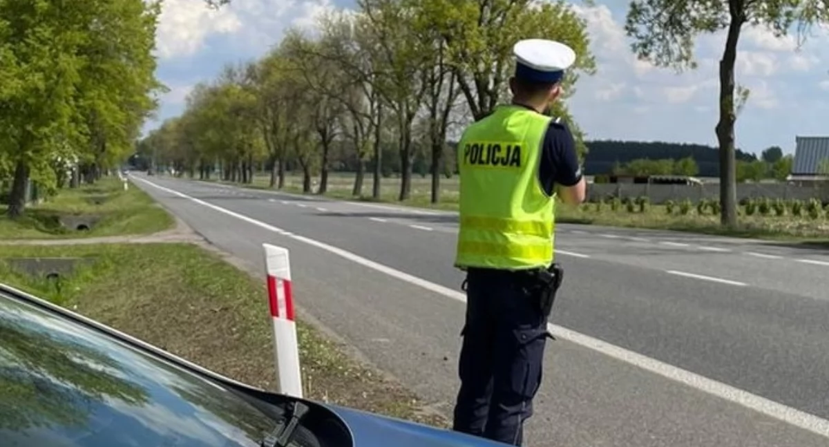 Foto poglądowe