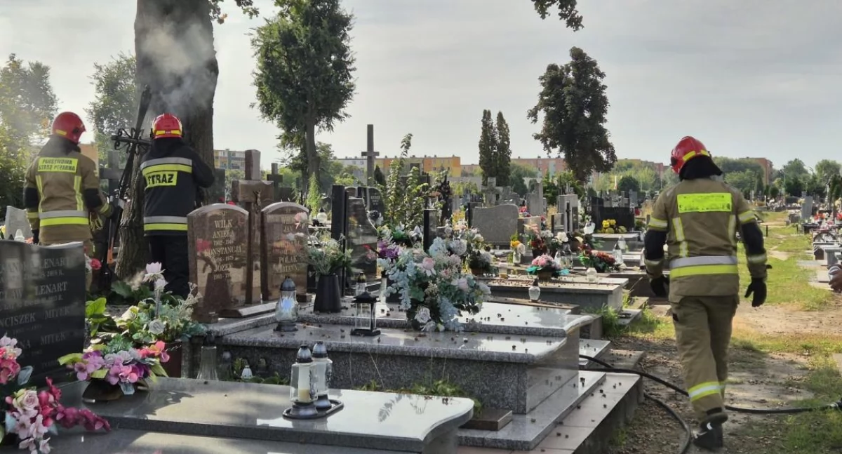 Straż pożarna, Paliło drzewo cmentarzu (foto film) - zdjęcie, fotografia