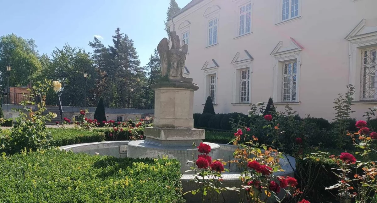 Starostwo Powiatowe, Łowicz dziedzińcu muzeum zostanie uruchomiona fontanna - zdjęcie, fotografia