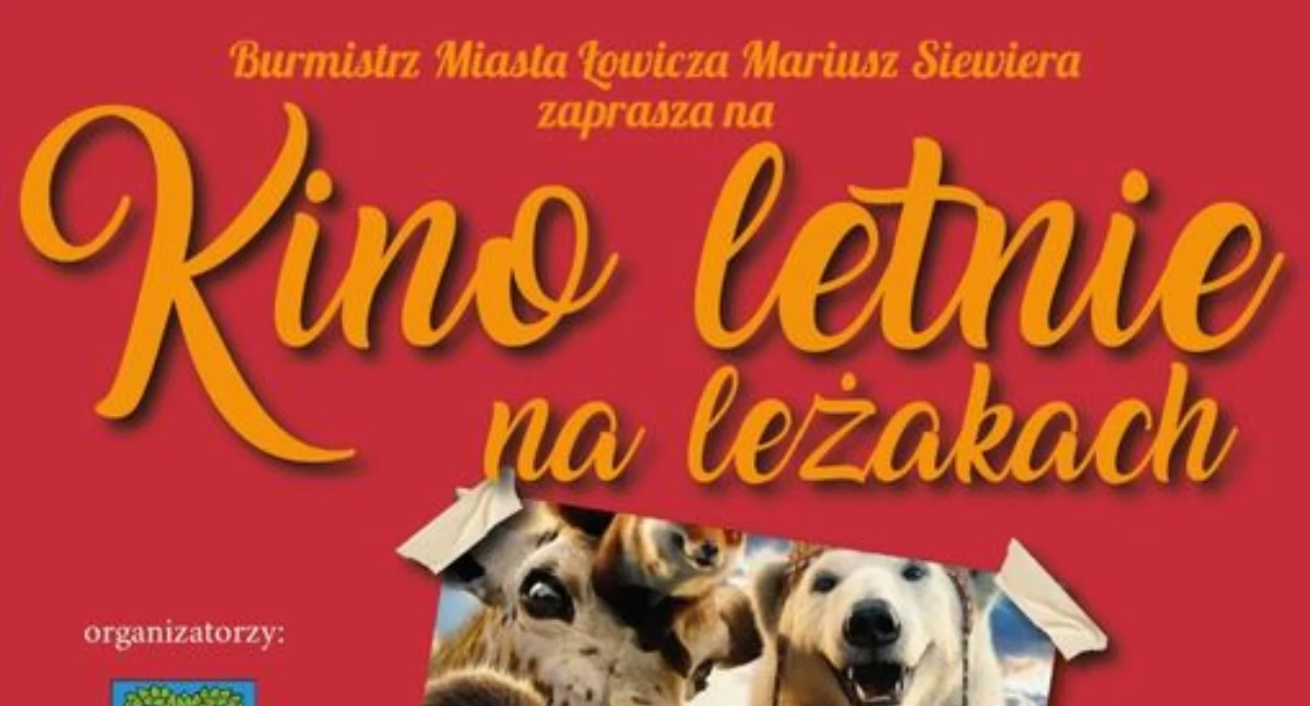 Kino, letnie leżakach Zatorzu - zdjęcie, fotografia