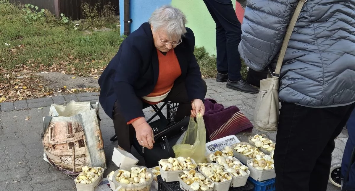 Ciekawostki, Grzybów wciąż mało! łowickim targowisku tylko maślaki - zdjęcie, fotografia