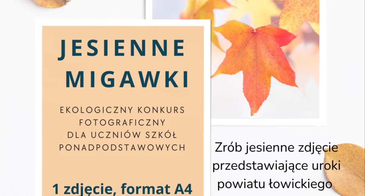 Konkursy, „Jesienne migawki” Biblioteka zaprasza udziału konkursie fotograficznym - zdjęcie, fotografia