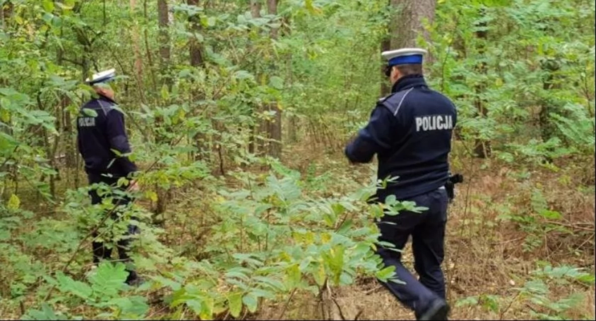 Komunikaty policji , łowickiej policji! Wybierasz grzyby Zabierz sobą telefon! - zdjęcie, fotografia