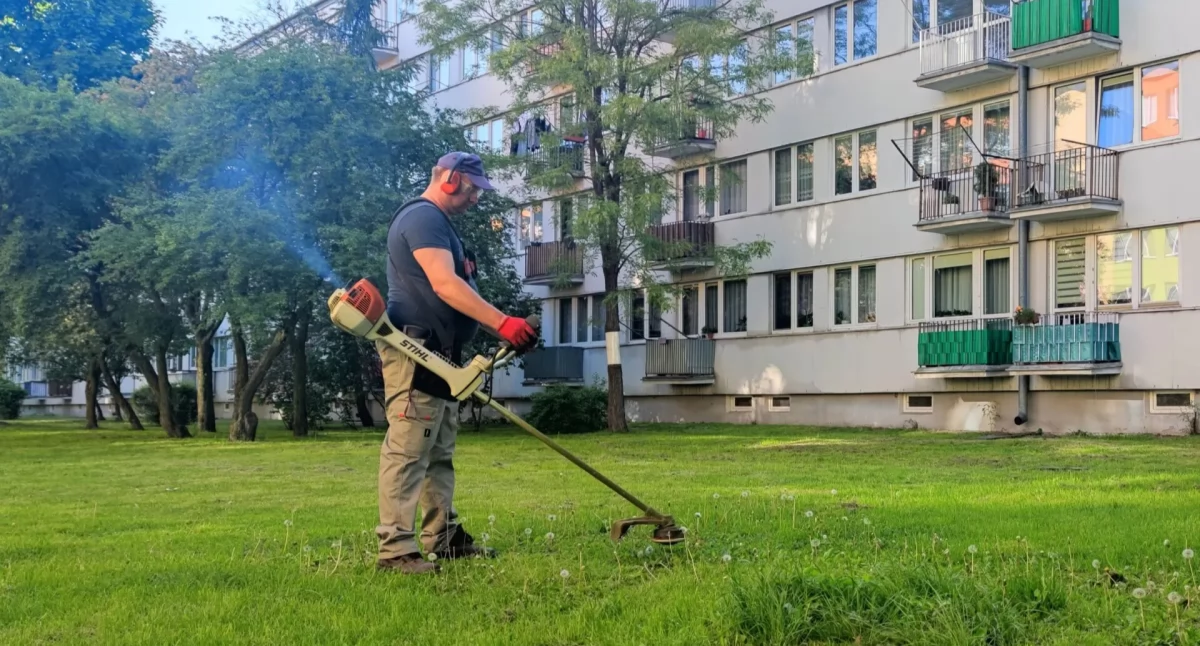 Wasze sprawy, Łowicka Spółdzielnia Mieszkaniowa szuka gospodarza osiedla! Praca zaraz - zdjęcie, fotografia