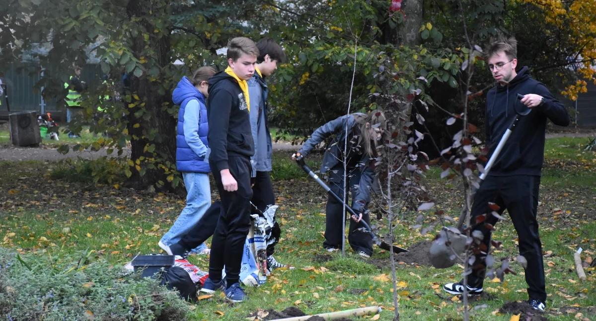 Stowarzyszenia, Harcerze włączyli akcję „888 drzew Łowicza” (foto) - zdjęcie, fotografia