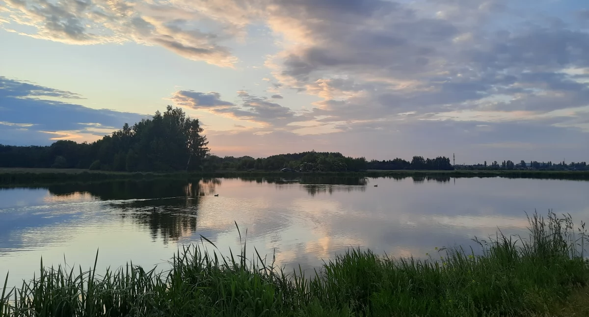 Urząd Miejski, Łowicz Miejska zadecydowała przyszłości zbiornika wodnego Laskiem Miejskim - zdjęcie, fotografia