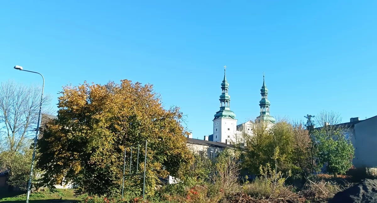 Ciekawostki, Złota polska jesień Łowiczu okolicy (foto) - zdjęcie, fotografia