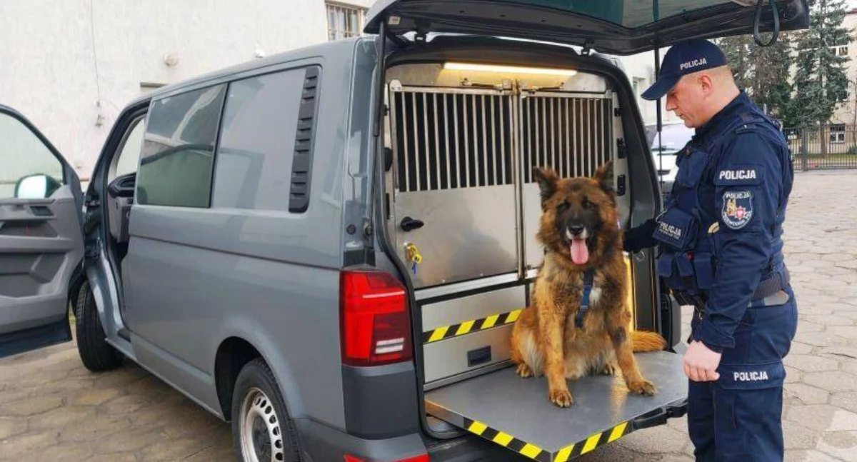 Transport i komunikacja publiczna, Łowicki Kozik zaangażowanie sztabu funkcjonariuszy uratowały życie latka! - zdjęcie, fotografia