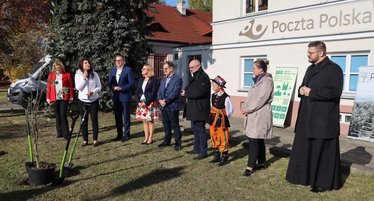 Ciekawostki, Łowiczu posadzono kolumnowy lecie Poczty Polskiej (foto film) - zdjęcie, fotografia