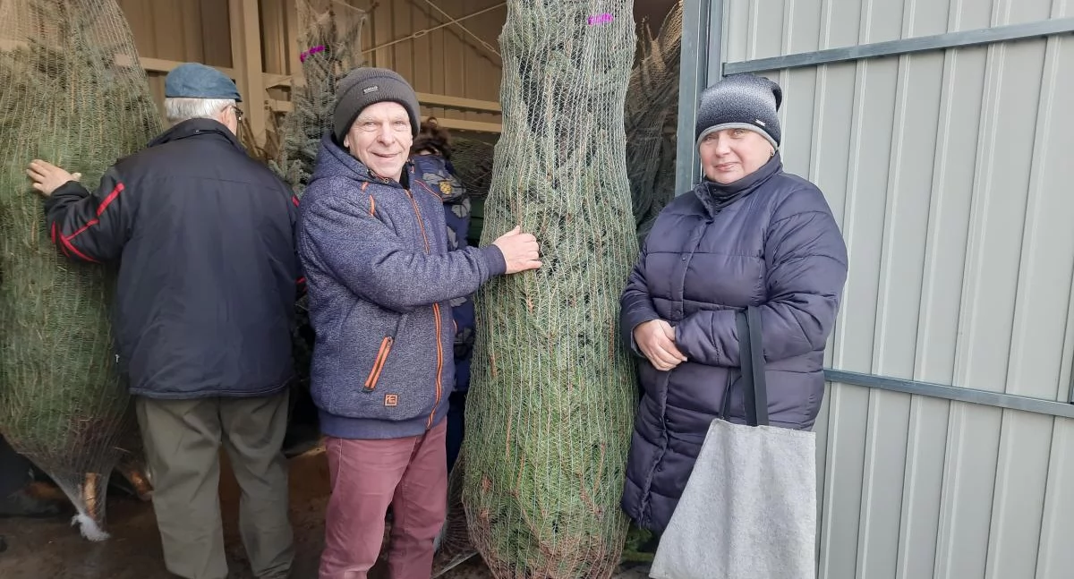 Wasze sprawy, „Choinka makulaturę” wraca Nieborowa Szczegóły akcji - zdjęcie, fotografia