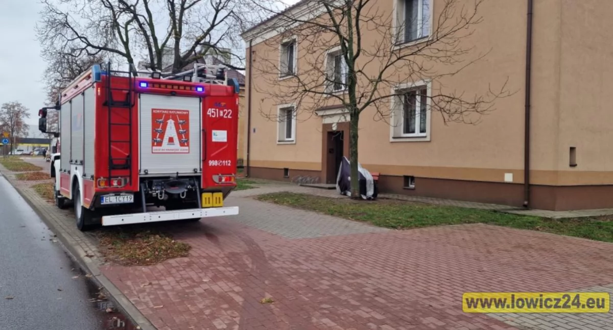 Straż pożarna, Dramatyczna interwencja Kostka Łowiczu Lądował - zdjęcie, fotografia