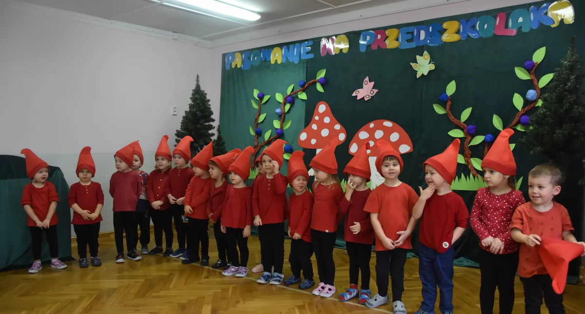 Przedszkola i żłobki, Uroczyste pasowanie przedszkolaka „Pod Tęczą” (foto film) - zdjęcie, fotografia