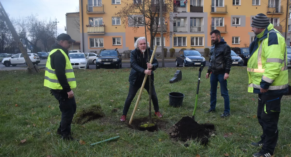 Ciekawostki, Ryszard Wolbach wspiera akcję „888 drzew Łowicza” (foto film) - zdjęcie, fotografia